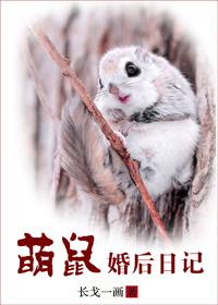 萌鼠婚后日记by